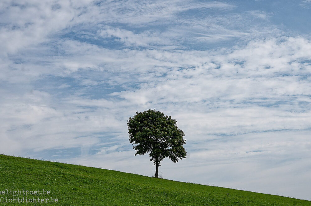 Liesetal (Germany), July 2024